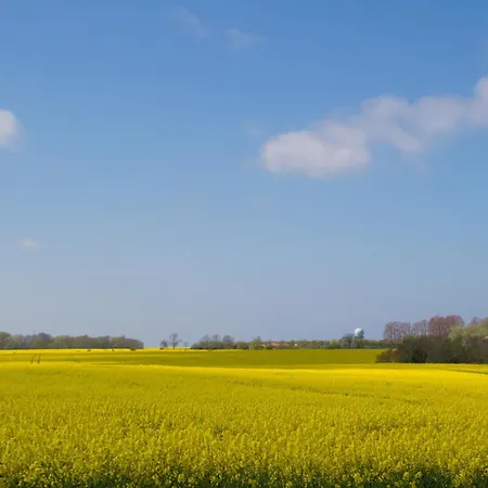 Apartment Havingblick Am Yachthafen In Seedorf *